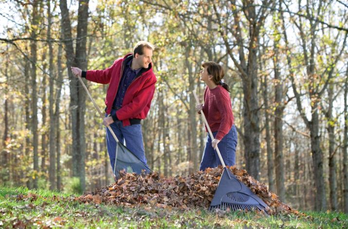 Professional Leaf Removal in Leland, NC